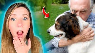 You Wont Believe How These Dogs Saved Their Owners!