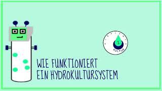 Wie Funktioniert ein Hydrokultursystem