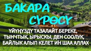 БАКАРА СҮРӨСҮ| ҮЙҮҢҮЗДҮ ТАЗАЛАЙТ БЕРЕКЕ, ТЫНЧТЫК, ЫРЫСКЫ, ДЕН СООЛУК, БАЙЛЫК АЛЫП КЕЛЕТ ИН ШАА АЛЛАХ