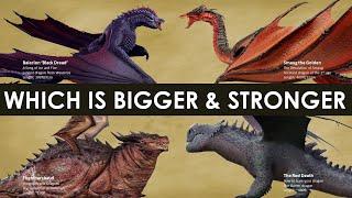 Biggest, Oldest, Smartest, and Strongest Dragons Comparison