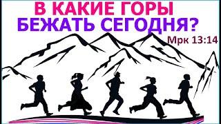 1.87 В какие горы надо бежать народу Иеговы современности?