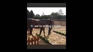 Harls is selling cookieI’m crying rn..@HarlowLunaWhite