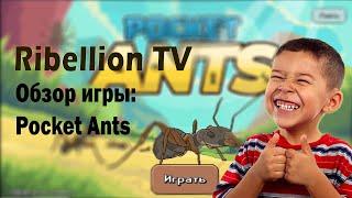 Pocket Ants: обзор игры