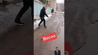 Показывают 1 раз #юмор #смех