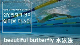 힘 안 들이고 우아하게 접영하는 코타의 팁!! 1편 Gorgeous Butterfly.