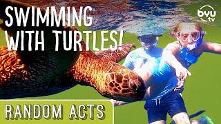 Girl’s Dream Comes True: Swimming With Turtles! - Random Acts