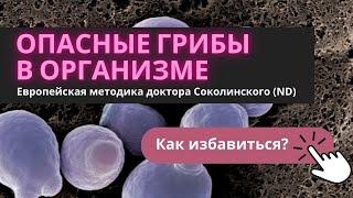 Избавиться от грибов в организме. Нужно не менее 30 дней!