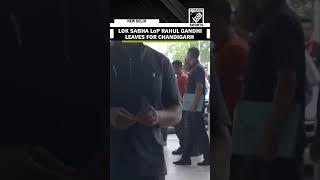 Congress leader and Lok Sabha LoP Rahul Gandhi leaves for Chandigarh to attend two events