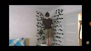 Pat04Chek И китайськие лиани :)