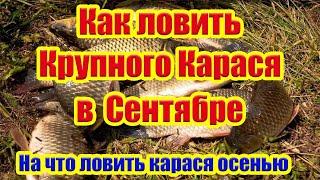 Как ловить Карася в Сентябре На что ловить карася Осенью Где искать карася Насадка на карася