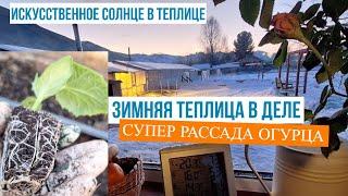 В нашей зимней теплице уже растут огурцы, дровозаготовка закончилась, а впереди весна и новые задачи