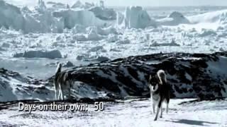 Белый плен - Eight Below. Original Songs.