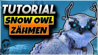  Ark Extinction Snow Owl Zähmen | Ark Survival Evolved