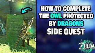 How To Complete "The Owl Protected by Dragons" Quest in Zelda Tears of The Kingdom (STEP-BY-STEP)