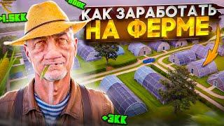 ГАЙД КАК ЗАРАБОТАТЬ на ФЕРМЕ в АМАЗИНГ РП ! ЛУЧШИЙ СПОСОБ ФАРМА ДЕНЕГ на AMAZING RP