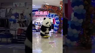 Cute panda video  #shorts #funny #cute #panda #video