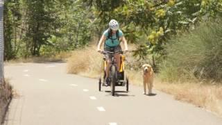 Trek Tech Reviews: Burley Tail Wagon