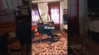 janze, Uzbek qizlar raqsi,