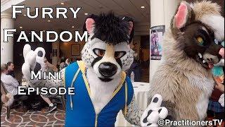 Furry Mini Episode Latin Vixen of Mixed Candy Costumes