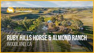 California Almond Ranch for Sale | Ruby Hills Horse and Almond Ranch | Woodland, CA