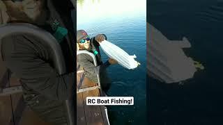 RC Boat Catches BIG FISH!