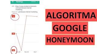 Update Algoritma Google Terbaru Google Honeymoon