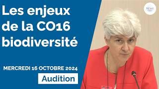 COP 16 Biodiversité : audition de S. Lemmet et S.Goulard