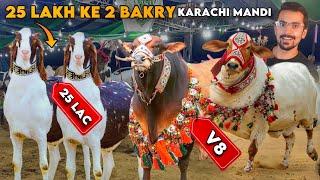 Karachi Mandi Ke BIG BULLS - Worth Billions, Asia's Largest Cattle Mandi