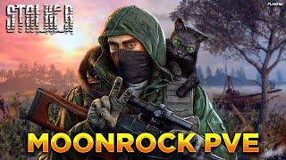 DAYZ STALKER | ПРОЕКТ MOONROCK PVE | БОТЫ, РЕПУТАЦИЯ, КВЕСТЫ #4