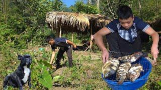 The Orphan Boy - Harvested the net and caught many big fish, Grilled them and brought them to sell