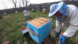 The second apiary is better - look!