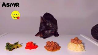 Kitten eating broccoli, carrot, rice, wet food ASMR