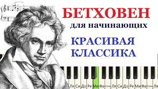  Как играть Бетховена Соната 17 (КРАСИВАЯ и ПРОСТАЯ версия для начинающих)