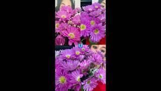 My Baby's Flowers Thanks Michelle Kay. RR Vlog/My Life After Rae @reginarodriguez43/@grievingmom