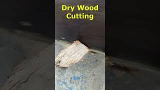 Cutting a Piece of Dry Wood