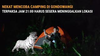 CAMPING HOROR : GONDOWANGI