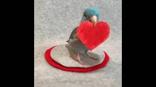 I Love you #омега #обзор #лето #газан #а4 #майнкрафт #мем #228 #нуб #советы