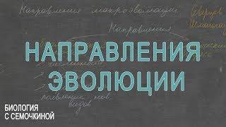 Направления эволюции