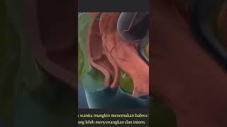 Bagaimana Wanita Bisa Orgasme #howto #wellmind #sekssuamiistri #pendidikanseks #keluarga