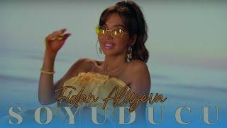 Fidan Aliyeva - Soyuducu 2024 (Official Video Music)