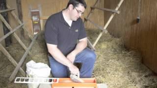 How to use Trough Feeders for poultry