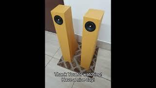 AIYIMA 3 Inch Speakers - Frugel Horn Lite Design (quick sound demo)