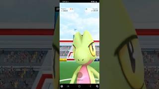 Pokémon GO - Treecko Raid