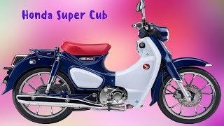 Неубиваемый и экономичный мопед Honda Super Cub