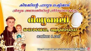 24 JUNE 2025  ||  ദിവ്യബലി ||  ST. ANTONYS SHRINE CHETTIKKAD