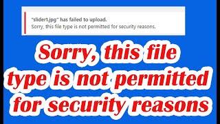 Sorry, this file type is not permitted for security reasons