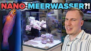 Funktionieren NANO-MEERWASSERAQUARIEN? -  Anfänger TUTORIAL!