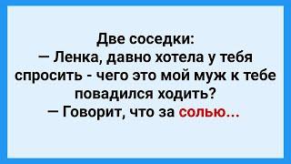 Муж Ходит к Соседке за Солью! Подборка Веселых Жизненных Анекдотов! Юмор!