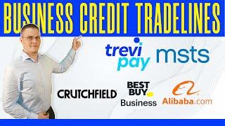 Business Credit Tradelines: Best Buy Business Account, Crutchfield Business