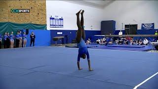 Gymnastics - Wayzata vs. Hopkins High School